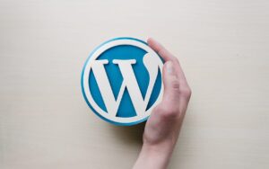 Rekomendasi Plugin Wordpress